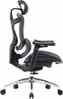 Крісло офісне SIHOO DORO C300L Mesh Black (DORO-C300L-A3-101) - зображення 3