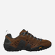 Чоловічі черевики для трекінгу Merrell Intercept J598633 41.5 (7.5UK) 26 см Коричневі (884547985545) - зображення 1