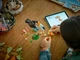 Конструктор LEGO Creator Дикие животные: тропический тукан 225 деталей (31173) - изображение 10