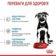 Сухой корм Royal Canin MAXI PUPPY для щенков собак крупных пород 1 кг - изображение 5