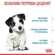 Сухой корм Royal Canin MINI PUPPY для щенков мелких пород 8 кг - изображение 3