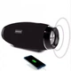 Портативная Bluetooth колонка Hopestar H27 - изображение 4