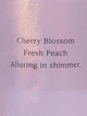 Парфюмированный спрей с шиммером Victoria's Secret Love Spell Shimmer Fragrance Mist 250 мл - изображение 3