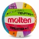 Мяч волейбольный Molten MS500 размер №5 для игры в зале и на улице (Indoor/Outdoor) - изображение 1