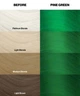 Тінт-фарба для волосся Crazy Color 46 Pine Green, 100 мл - зображення 2