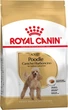 Корм для взрослых собак породы Пудель ROYAL CANIN POODLE ADULT 0.5 кг - изображение 1