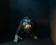 Фигурки Джек Вудман и Оборотень Toony Terrors Jack Woodman American Werewolf in London NECA 48986 - изображение 4