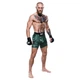 Ростовая фигура Коннор МакГрегор (Conor McGregor) 1800 мм - изображение 1