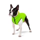 Курточка AiryVest двостороння салатова \ жовта XS 25 - изображение 3