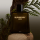 Парфуми для чоловіків Burberry Hero 100 мл (3616304679445) - зображення 4