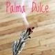 Благовоние Palma Dulce - Сладкая Пальма 20 г (PAL375/20) - изображение 1