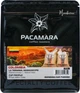 Кофе в зернах PACAMARA Колумбия La Terminal Maragogype 250 г (4820287550359) - изображение 1