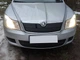 Skoda Octavia II A5 (2010-2013) матовая зимняя накладка на верхнюю решетку - изображение 1