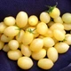 Семена томата Barry's Crazy Cherry (Сумасшедшая Вишня Барри) 10 семян OGOROD - изображение 2