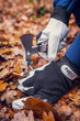 Rękawice robocze NEO Tools 8" 97-604 (5907558407655) - obraz 5