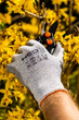 Робочі рукавички NEO Tools з PU-покриттям 4X43D 8" 97-609-8 (5907558447934) - зображення 7