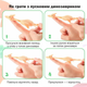 Игрушка-антистресс динозавр тягучка запускалка «StretchRex» голубой 11 см - изображение 5