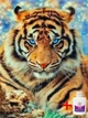 Алмазная мозаика на подрамнике ColorArt 30x40 Тигр STP476 + Подарок лак для покрытия - изображение 1