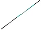 Поплавочне вудлище без кілець Salmo Elite POLE MEDIUM MF 5.00 (2240-500) - зображення 1