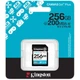 Карта памяти Kingston 256GB SDXC сlass 10 UHS-I U3 V30 Canvas Go Plus G4 (SDG4/256GB) - изображение 3