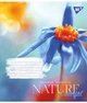 Зошит 36арк. = YES 767091 Nature colorful (15) - изображение 5