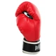 Перчатки боксерские искусственная кожа BOXER 2022-N NEW (размер 12oz, Красный) - изображение 3