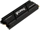 Накопичувач SSD 2.0TB Kingston Fury Renegade with Heatsink M.2 2280 PCIe 4.0 x4 NVMe 3D TLC (SFYRDK/2000G) M.2 - изображение 2
