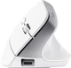 Мышь Trust 25399_TRUST Bayo+ Multidevice Ergonomic, BT/WL/USB-A, біла - изображение 9
