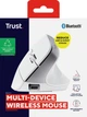Мышь Trust 25399_TRUST Bayo+ Multidevice Ergonomic, BT/WL/USB-A, біла - изображение 13