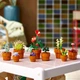 Конструктор Лего Иконс Миниатюрные Растение Lego Icons Mini Plants 10329 - изображение 10