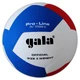 Мяч волейбольный Gala Pro-Line 12 BV5585S - изображение 1