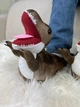 Тапочки кигуруми Kigurumi Динозавр Тирекс T-Rex Детские Коричневый Плюшевые 25-32 (3109/1) - изображение 2