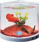 Пластиковый угловой аквариум для петушка Betta Tank T-101 - изображение 1