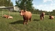 Дополнение Farming Simulator 25 - Highlands Fishing Expansion для ПК (Ключ активации Steam) - изображение 3