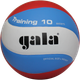Мяч волейбольный Gala Training 10 BV5567S - изображение 1