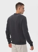 Свитшот на флисе мужской Ray Basic U0301M XL Темный серый (Ray2000000041049) - изображение 2