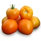 Насіння томатів KS 17 F1 Kitano Seeds 10 шт - зображення 1
