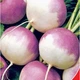 Семена шведской брюквы Gl Seeds 2 г - изображение 1