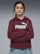 Детское теплое худи на флисе для девочки Puma ESS No.1 Logo 68489696 134-140 см Ruby Shimmer (4069157720137) - изображение 7