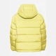 Пуховик зимний короткий женский Jack Wolfskin Frozen Palace Jkt W Rds A65097-M0064 L Желтый (4064886550062) - изображение 8