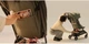 Прогулочная коляска Bugaboo Butterfly 2 Black/Dusty Pink, 8717447363675 - изображение 12