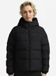 Пуховик зимний короткий женский Jack Wolfskin Frozen Palace Jkt W Rds A65097-6000 L Черный (4064886549219) - изображение 1