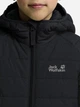 Подростковая демисезонная стеганая куртка для мальчика Jack Wolfskin New Zenon Jacket K A65455_6350 152 см Тёмно-серая (4064886552301) - изображение 5