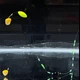 Двойной поводок херабуна, леска 0,2 мм - комплект 5 шт herabuna для карася, размер №6 (10860) - изображение 3