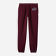Spodnie dresowe damskie ocieplane GAP 463492-03 XL-Regular Bordowe - obraz 4