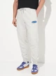 Спортивные штаны утепленные мужские Puma Essentials Graphics 68818204 XL Light Gray Heather (4069156535251) - изображение 1