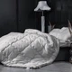 Одеяло шелковое MirSon Silver Cloud №1067 Silk Kapok 140x205 см Зима (2200010356526) - изображение 1