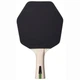 Ракетка для настольного тенниса Stiga Cybershape 1 Star FL (1211-0906-35) - изображение 4