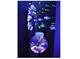 Гірлянда Xmas M-1 Copper curtain ball lamp 7257 Санта, різнобарвна - изображение 1