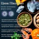 Цинк Пиколинат 25мг 90 капсул Oeska | Zinc Picolinate 25mg - изображение 3